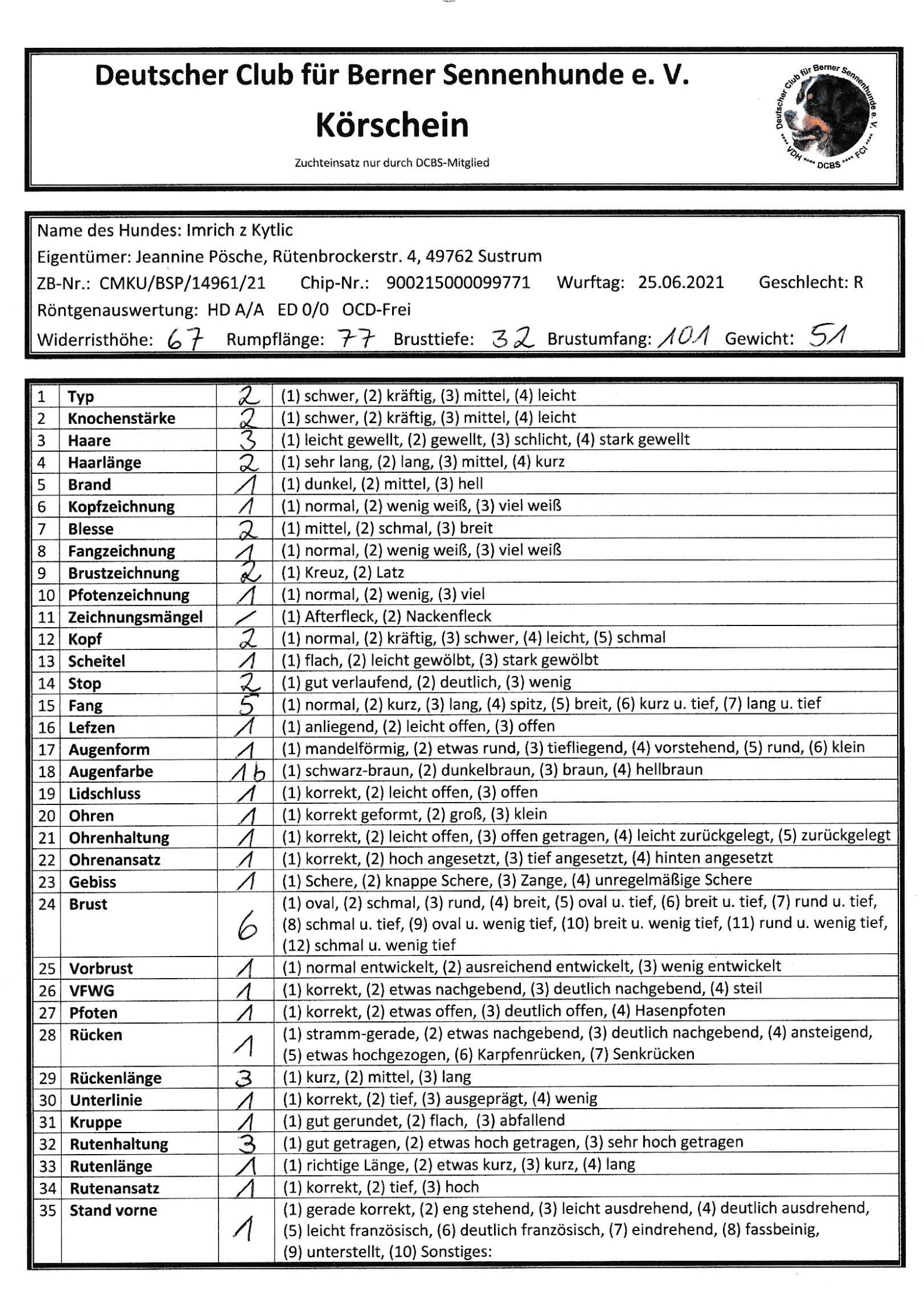 barber using styling spray on young man with black hair, short on sides and long in a quiff on top