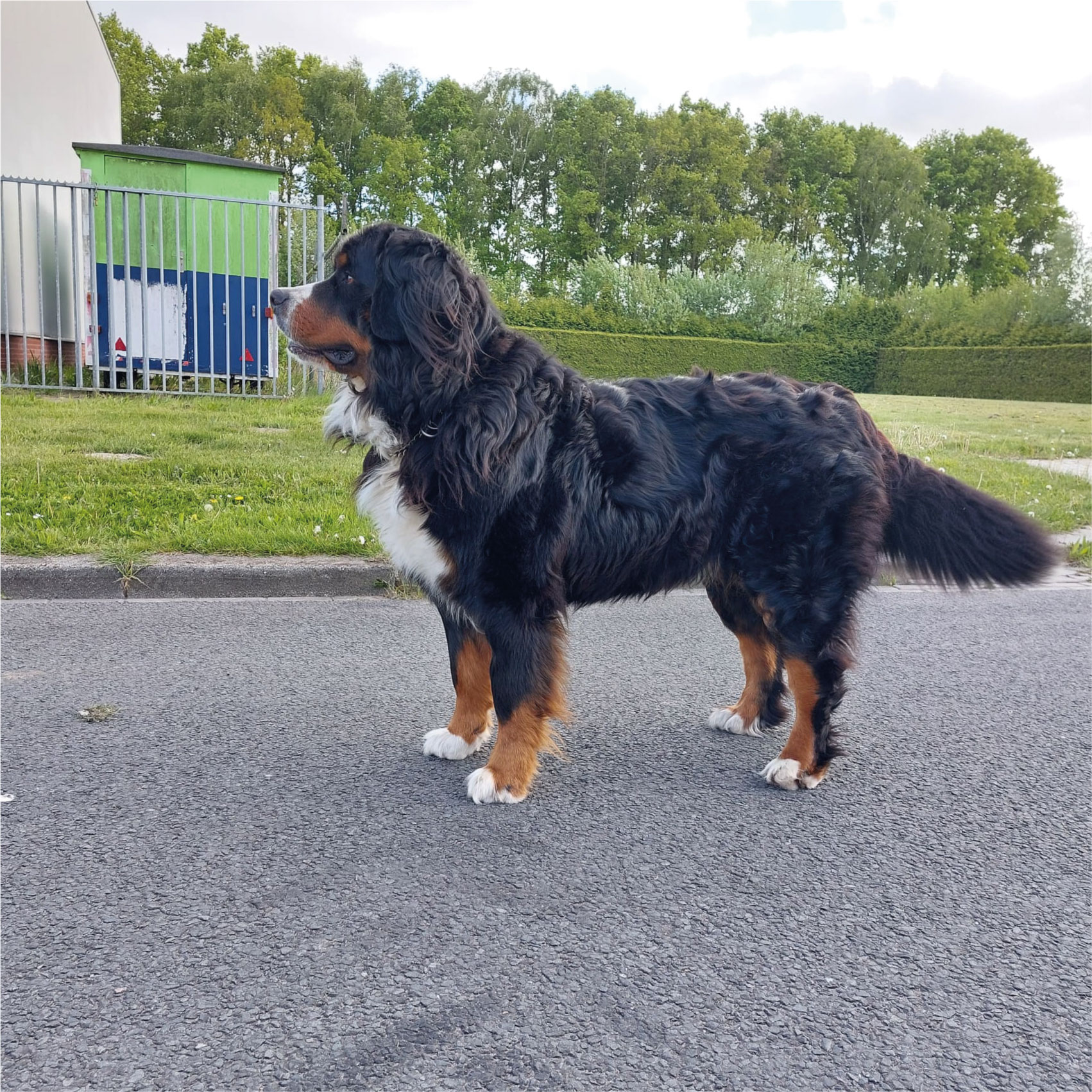 man lying back having a traditional wet shave